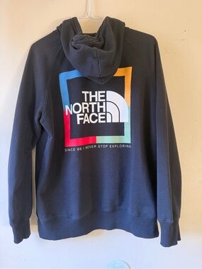 The North Face Black Womens Logo Pullover Hoodie